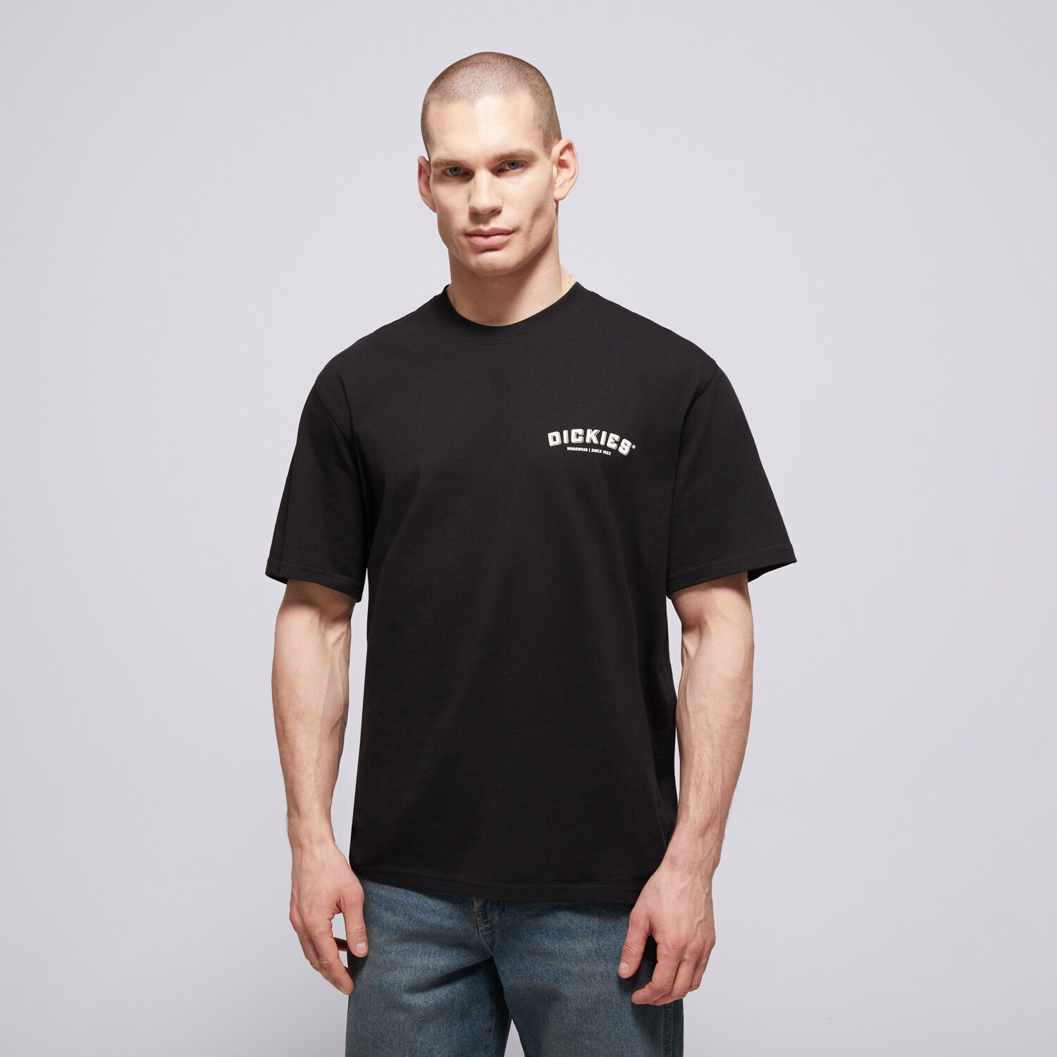 Koszulka, t-shirt sportowy męski DICKIES T-SHIRT BUILDER TEE DK0A85SYBLK1 CZARNY