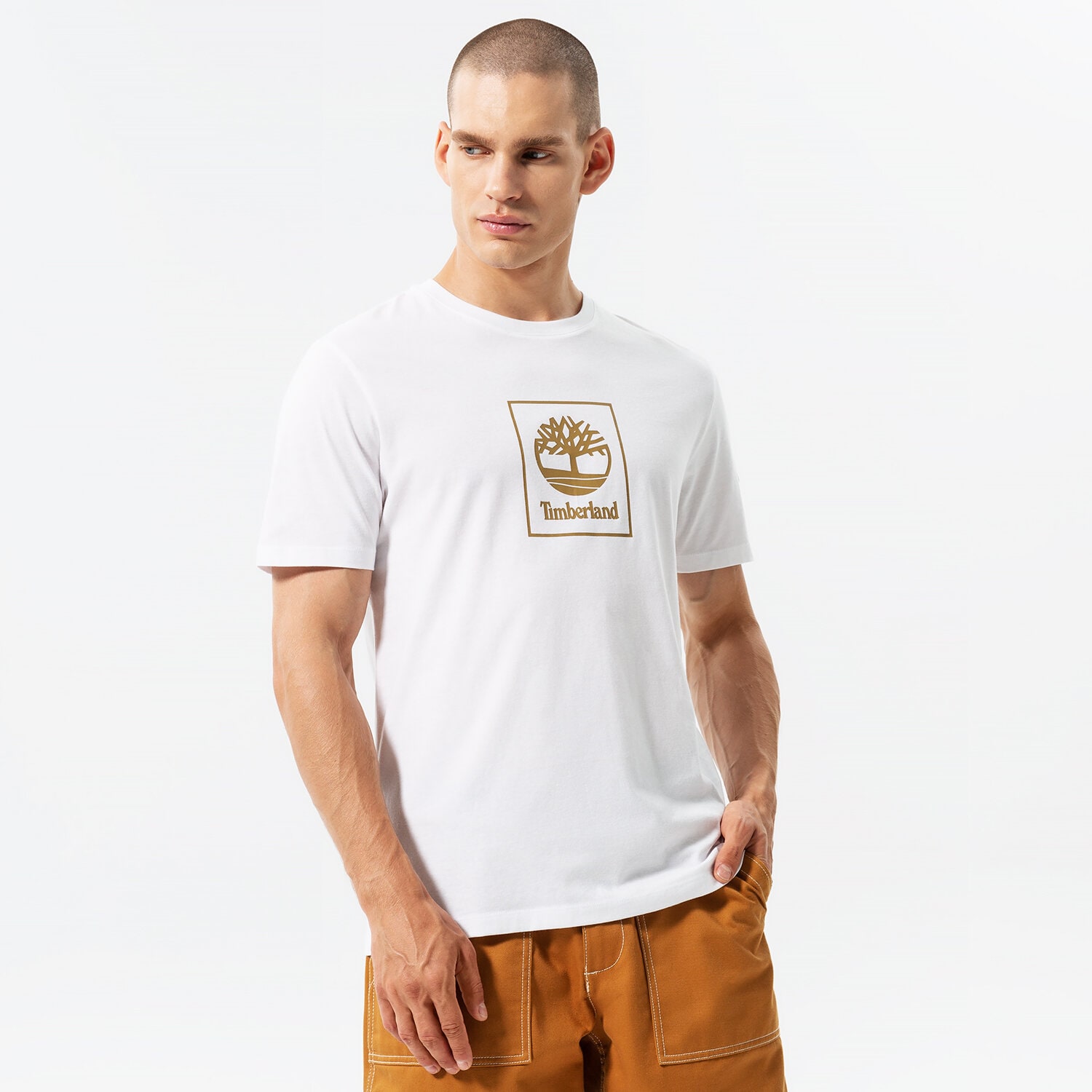 Koszulka, t-shirt sportowy męski TIMBERLAND T-SHIRT STACK LOGO WHITE/ANTIQUE BRONZE TB0A5ZH1DH11 BIAŁY