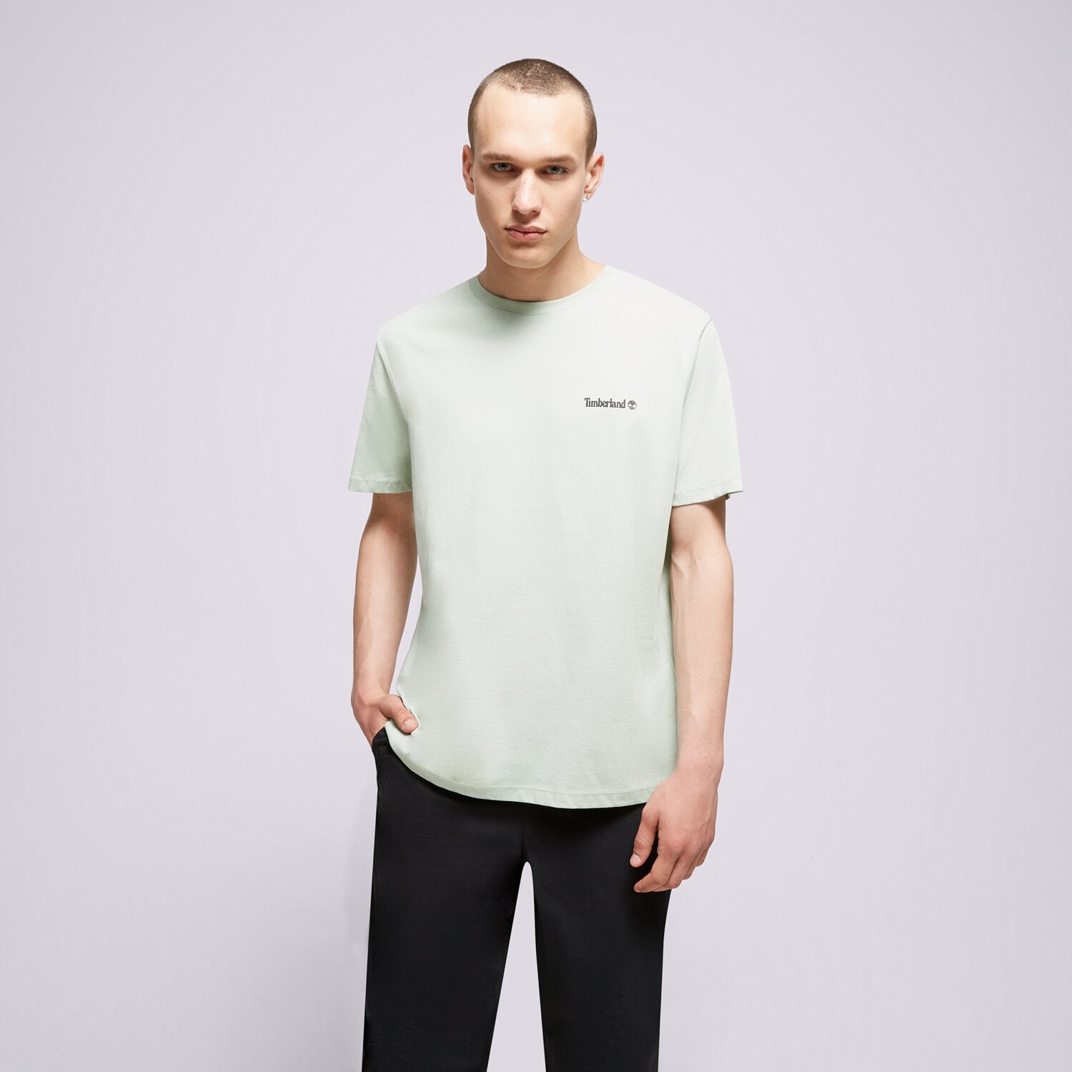 Koszulka, t-shirt sportowy męski TIMBERLAND T-SHIRT SMALL LOGO PRINT LOGO TEE TB0A5PGZQ431 miętowy