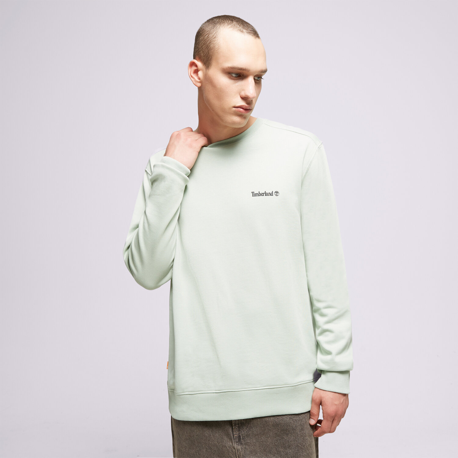 Bluza męska TIMBERLAND BLUZA SMALL LOGO PRINT TB0A5PDVQ431 SZARY