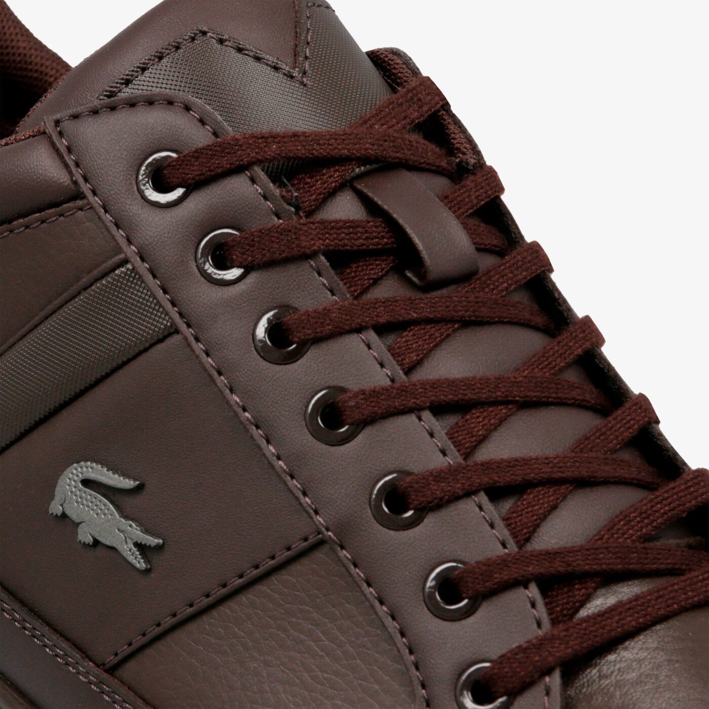 lacoste chaymon tan