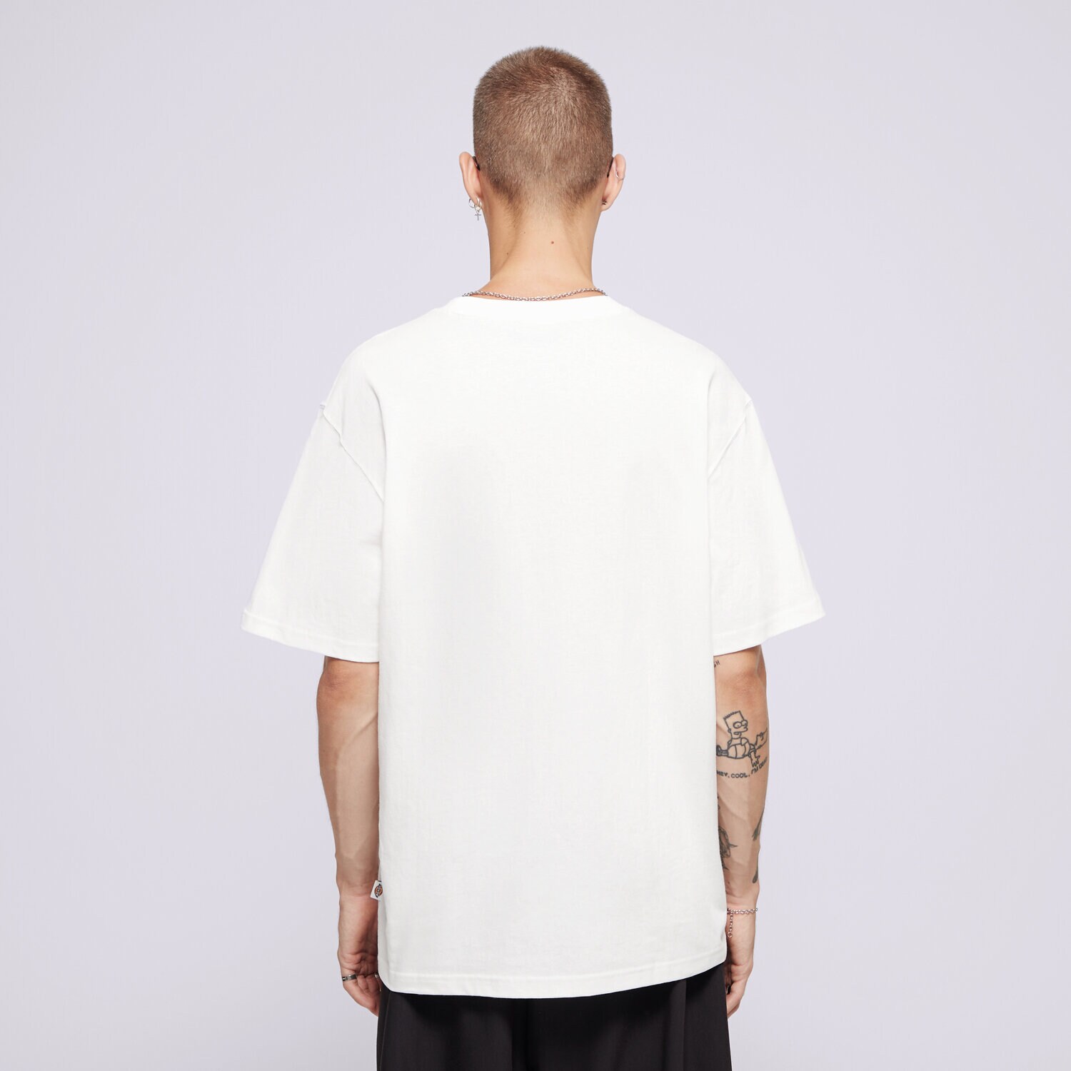 Tシャツ・カットソー DICKIES Men T-shirt White DK0A4YAI WHX1 Dickies T-Shirt Icon Logo DK0A4XC9WHX1 Biały Regular Fit
