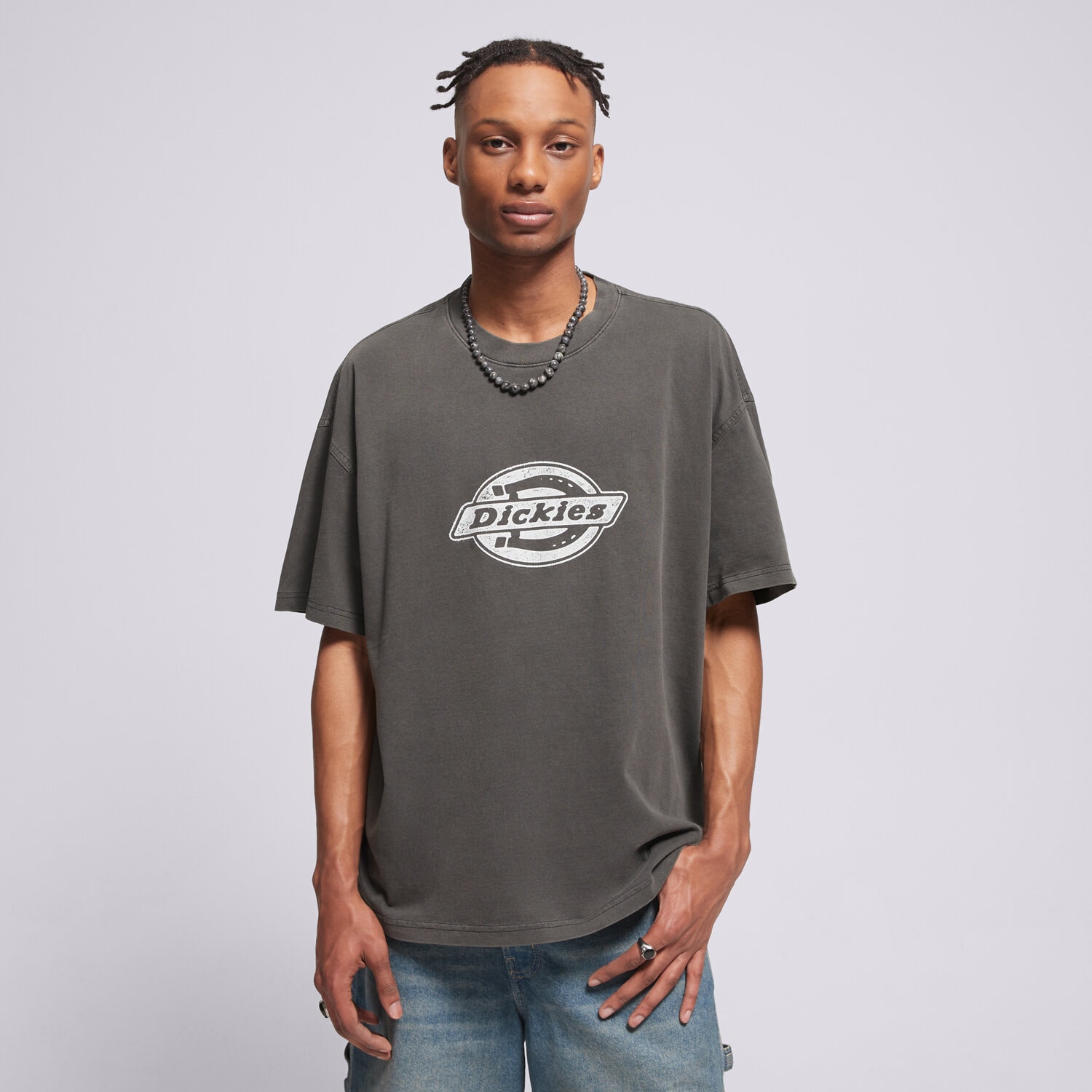 Dickies T-Shirt Plainville Ss Tee