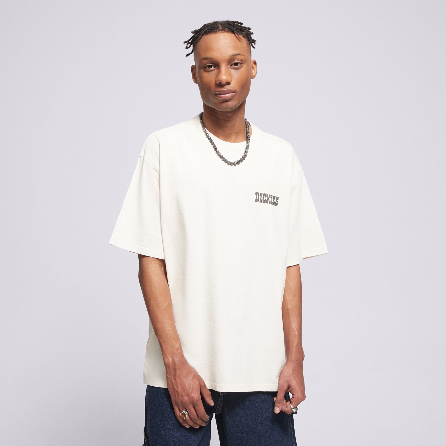 Dickies T-Shirt Buchtell Ss Tee