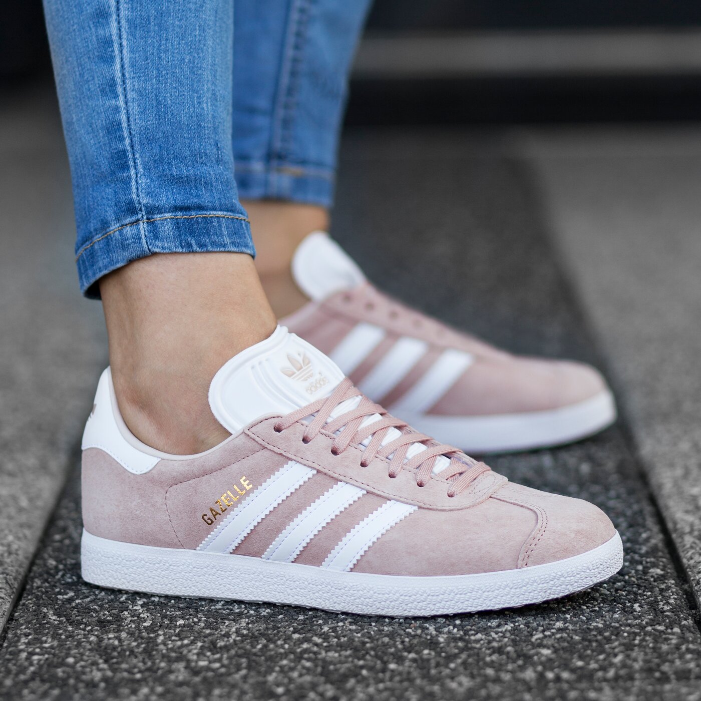 gazelle couleur pastel